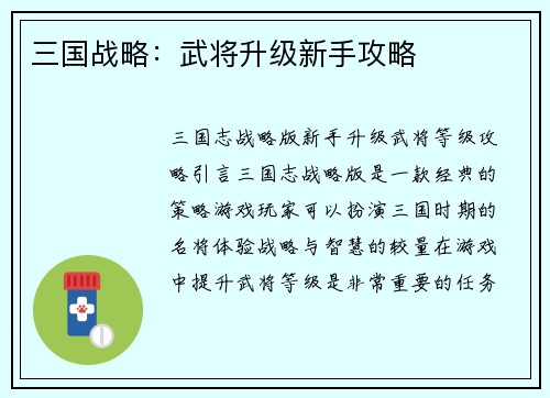 三国战略：武将升级新手攻略